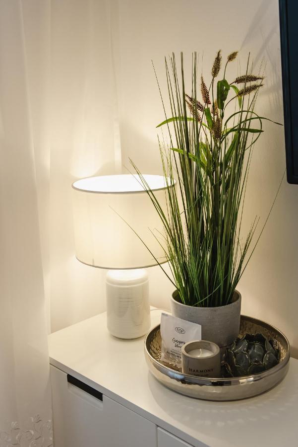 Apartament Witkiewicza Sanok Ngoại thất bức ảnh